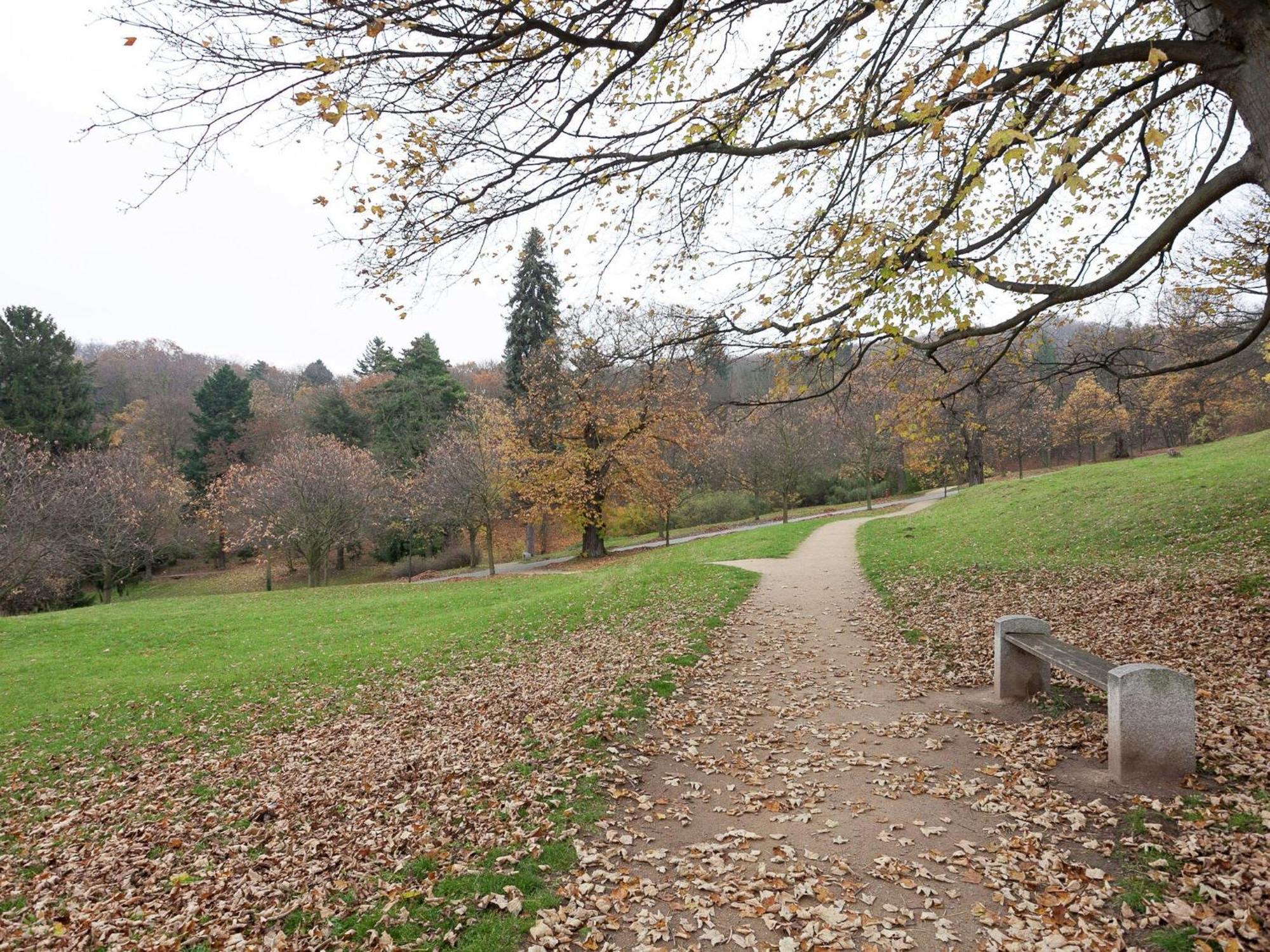 Beautiful Apartment In D Rnthal Near The Forest Voigtsdorf Exterior foto